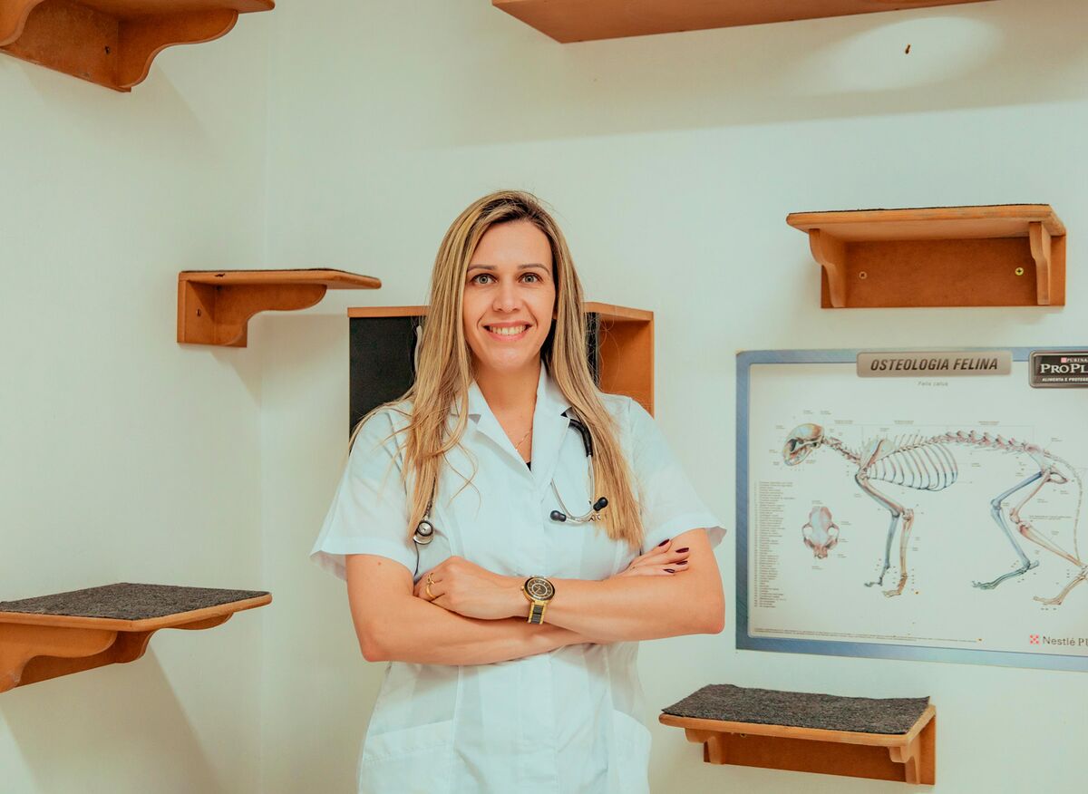 Veterinária da Gato Quilate atendendo um gato com carinho