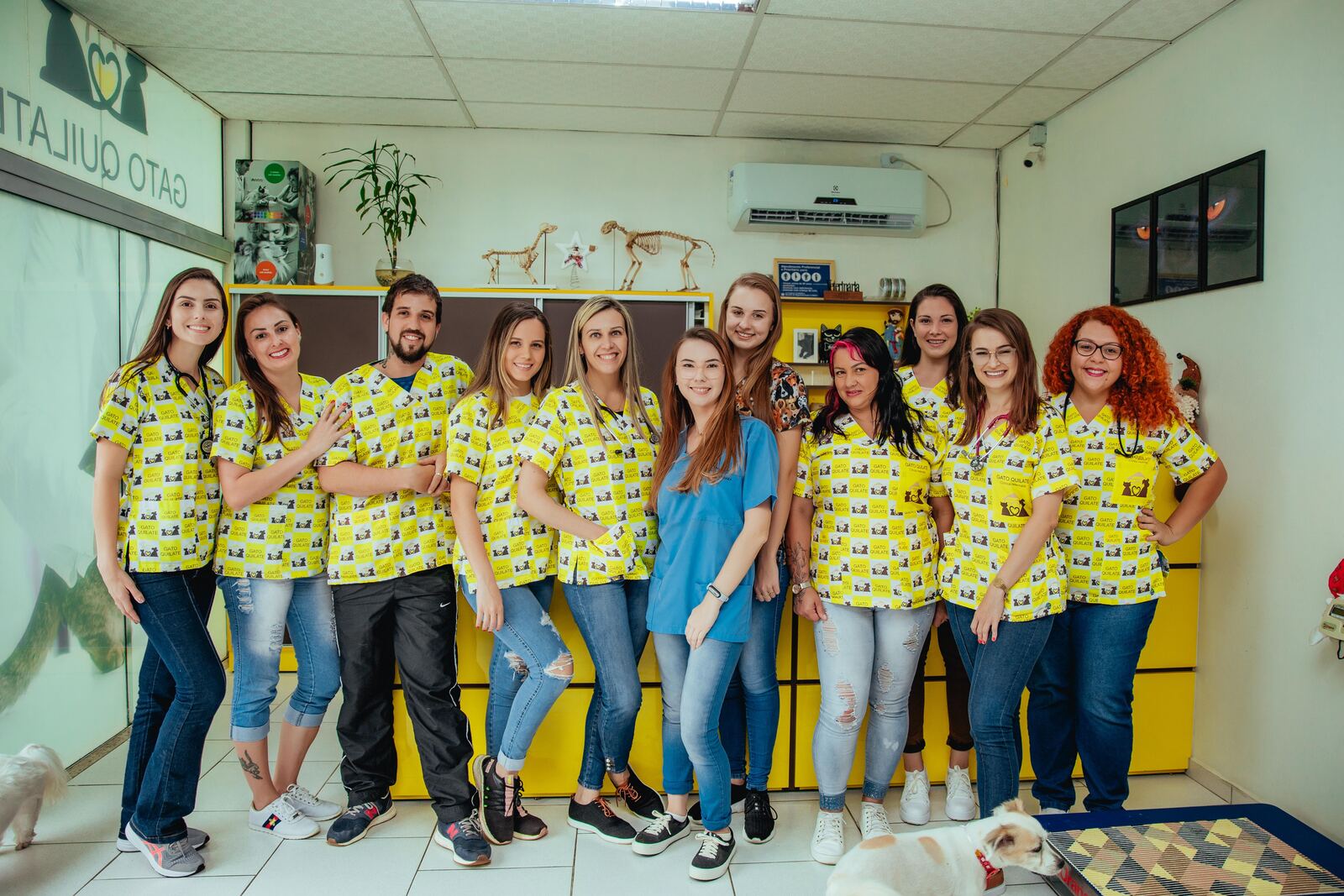 Interior da Gato Quilate Clínica Veterinária em Guaramirim